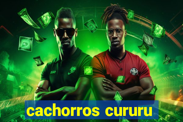 cachorros cururu